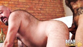 BEARFILMS Bear Silien Bottoms For Hunk Dick After Blowjob