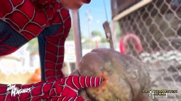 Pumpkin Fucker Cutie Twink Big Cumshot!