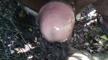 XHamster sex video Xhamster sex Xhamster sex