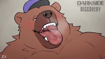 police bear blowjob